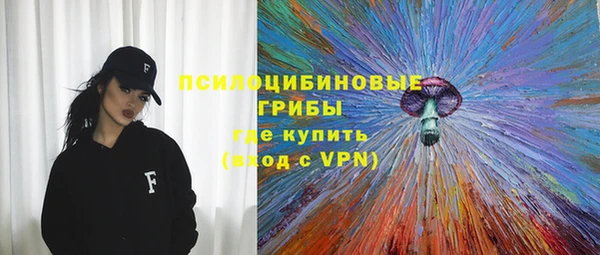 ГАЛЛЮЦИНОГЕННЫЕ ГРИБЫ Алексеевка