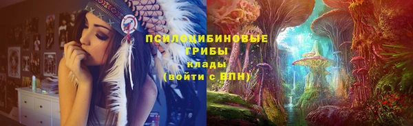 сатива Алзамай