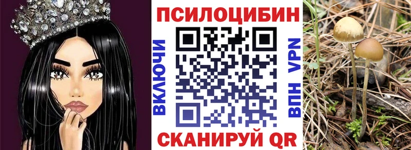 Галлюциногенные грибы MAGIC MUSHROOMS  купить наркоту  Аргун 